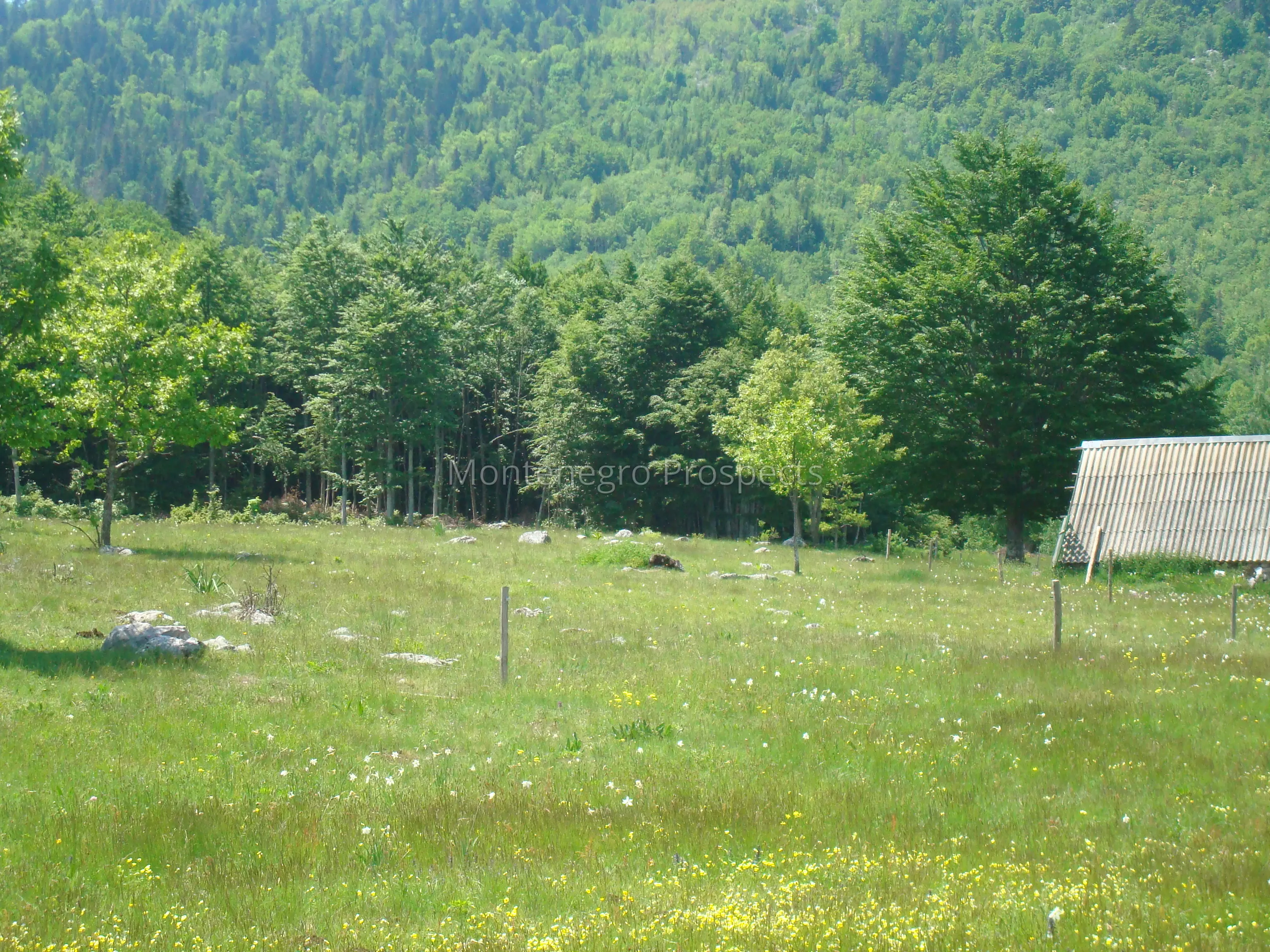 Ogroman plac j2020 2