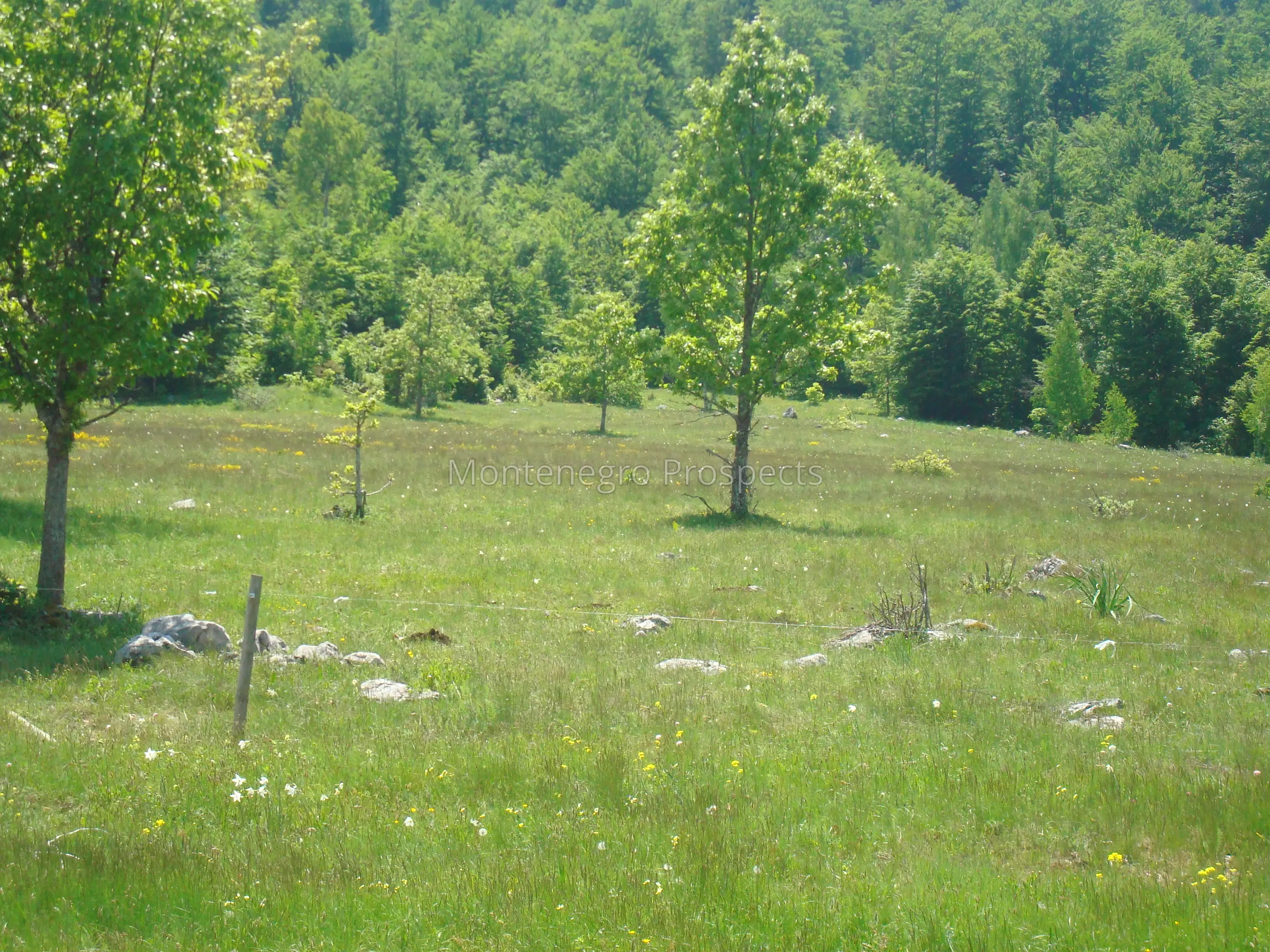 Ogroman plac j2020 3