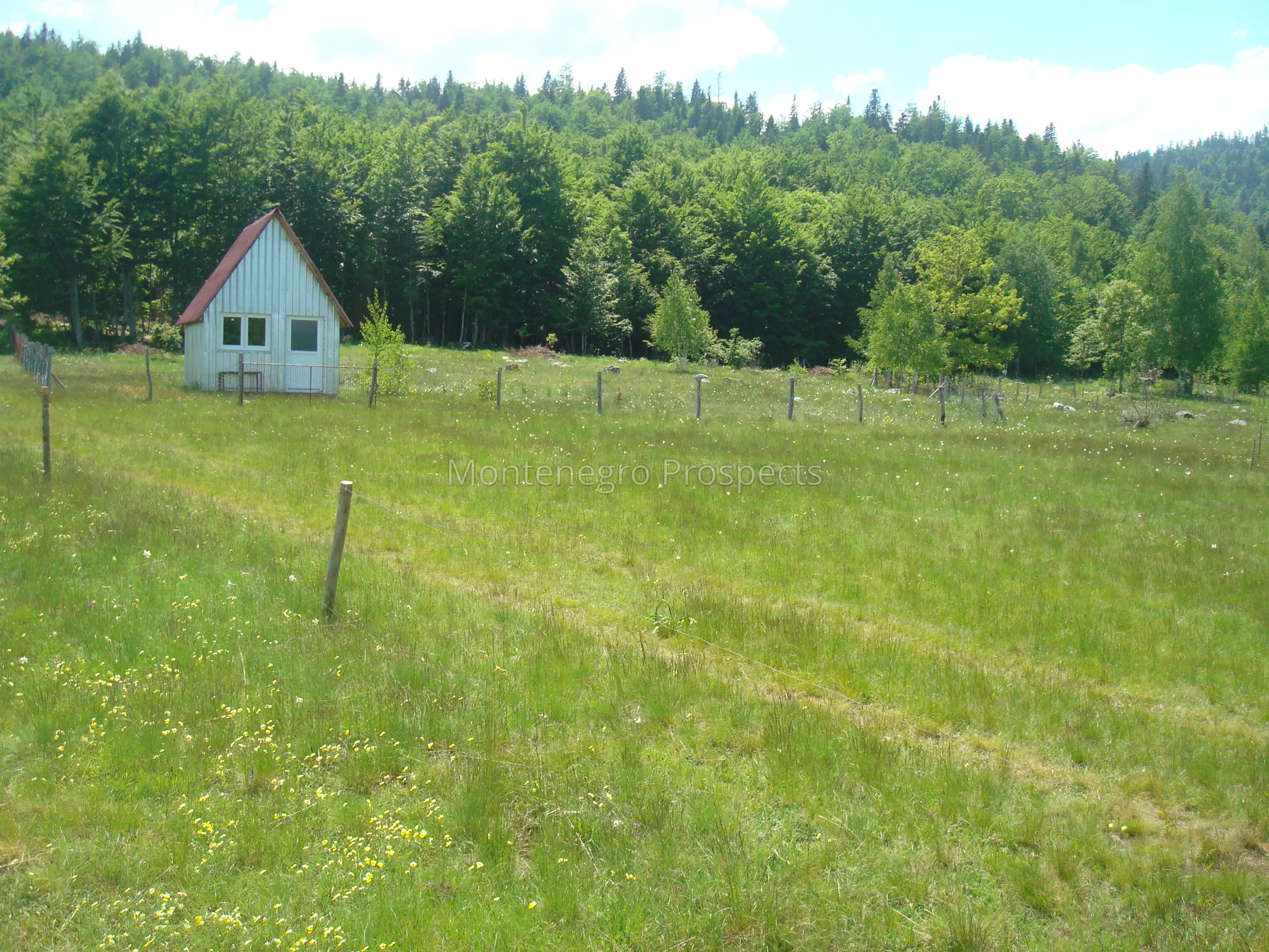 Ogroman plac j2020 4