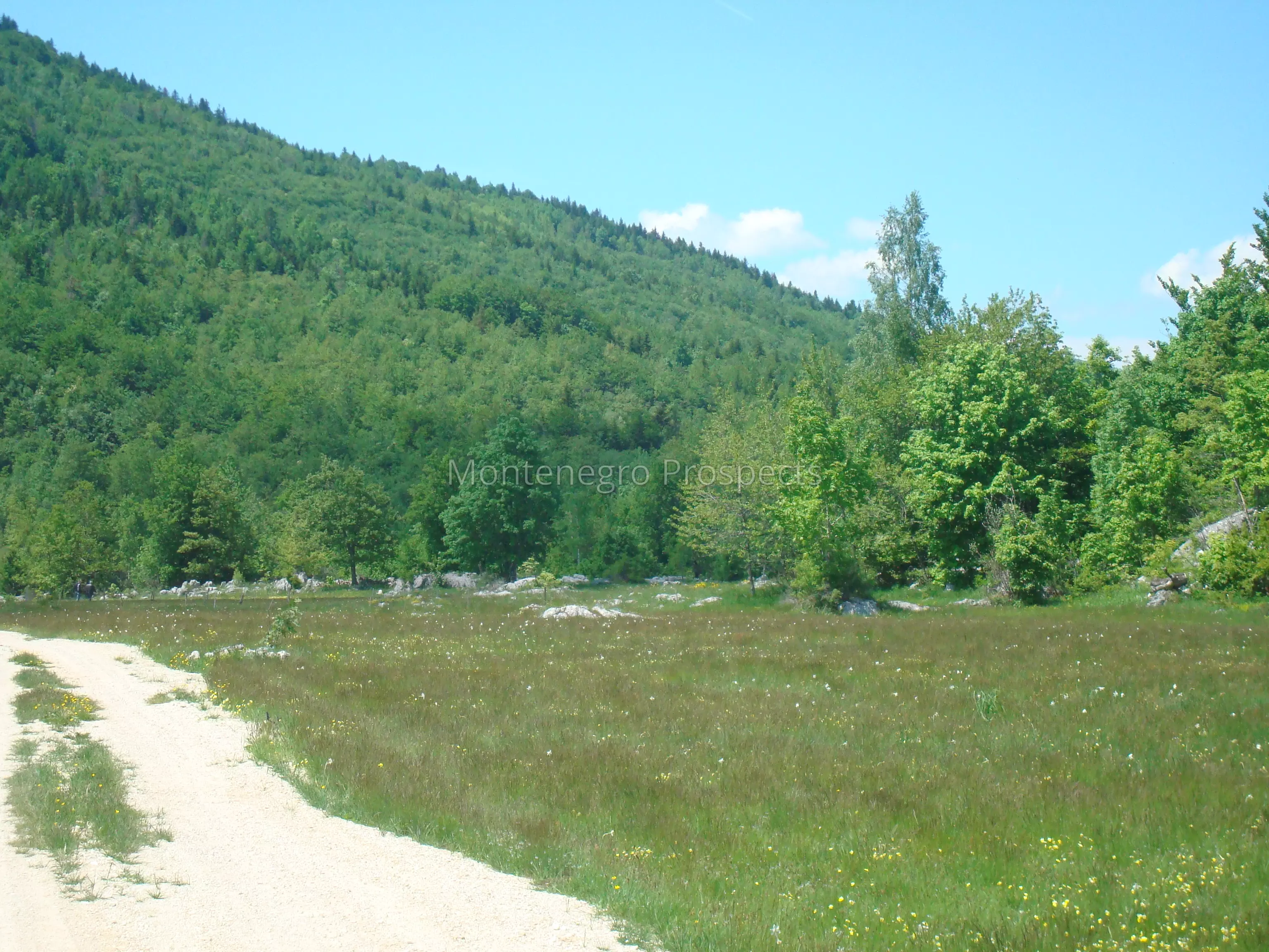 Ogroman plac j2020 8
