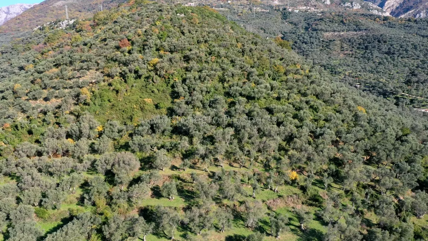 Plac kurilo 10456 2