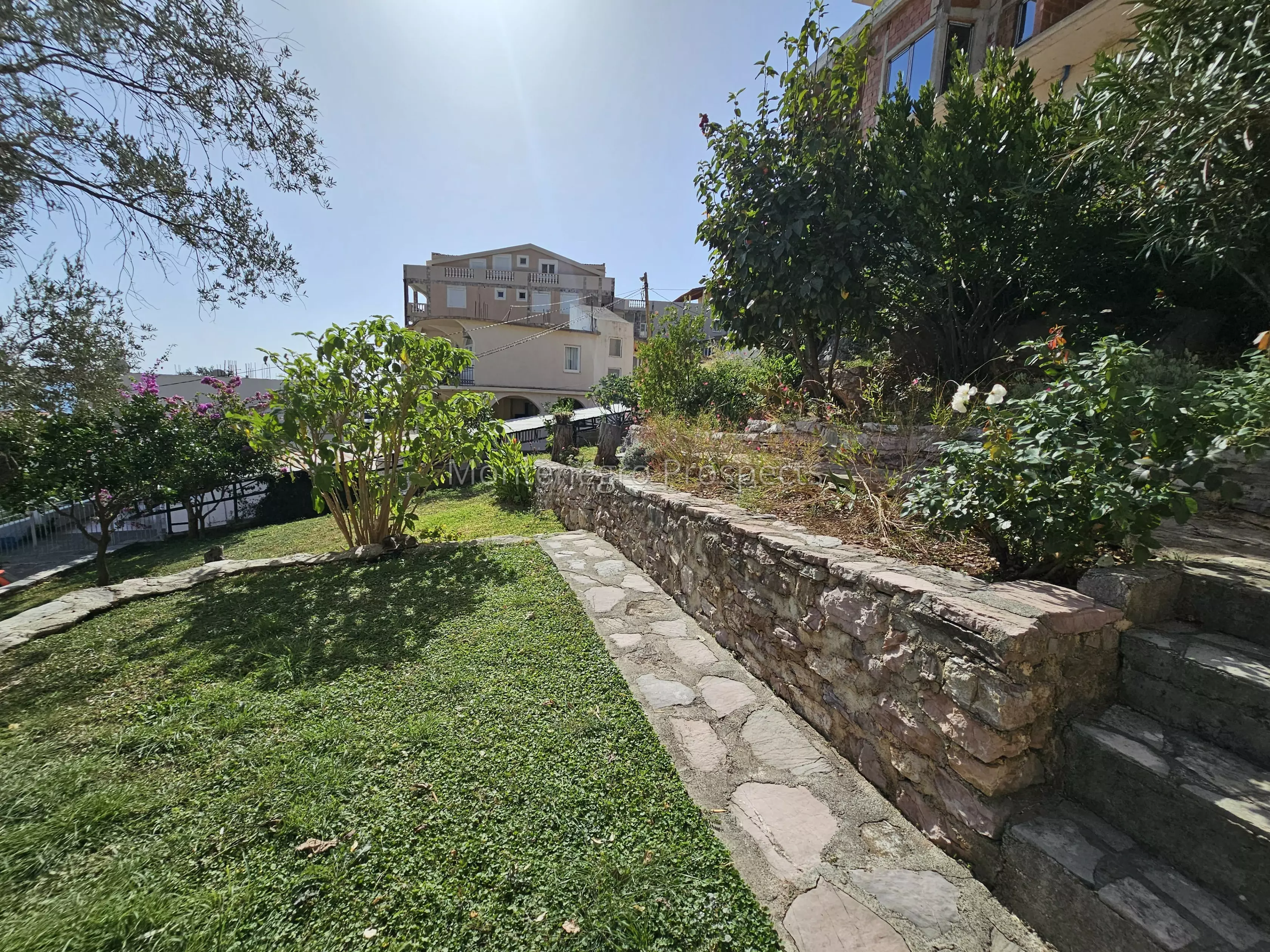 94108 buljarica 11