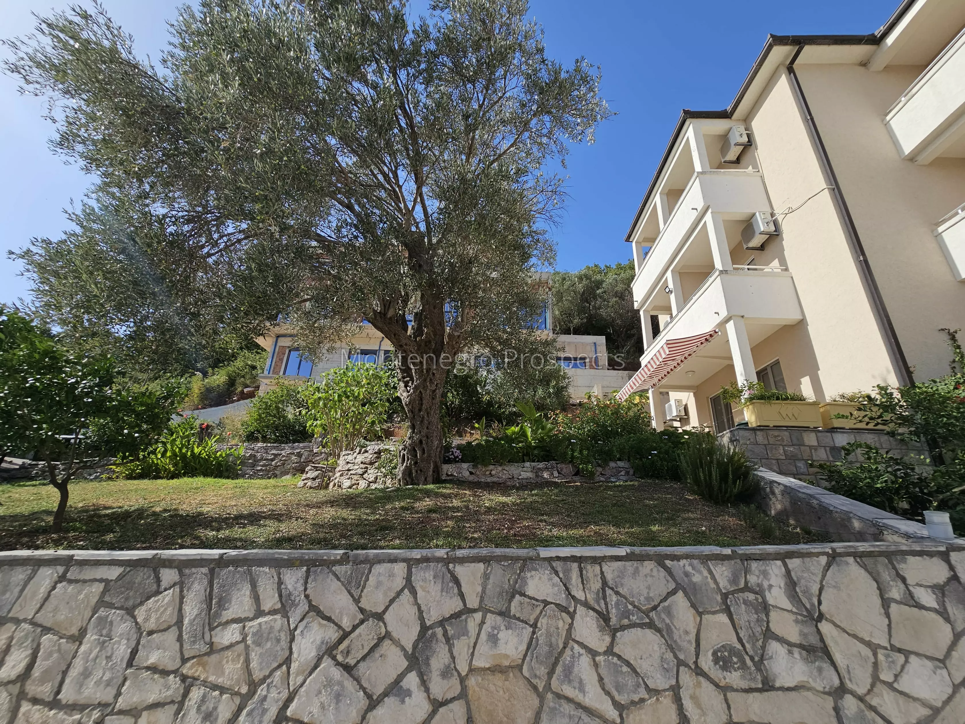 94108 buljarica 13
