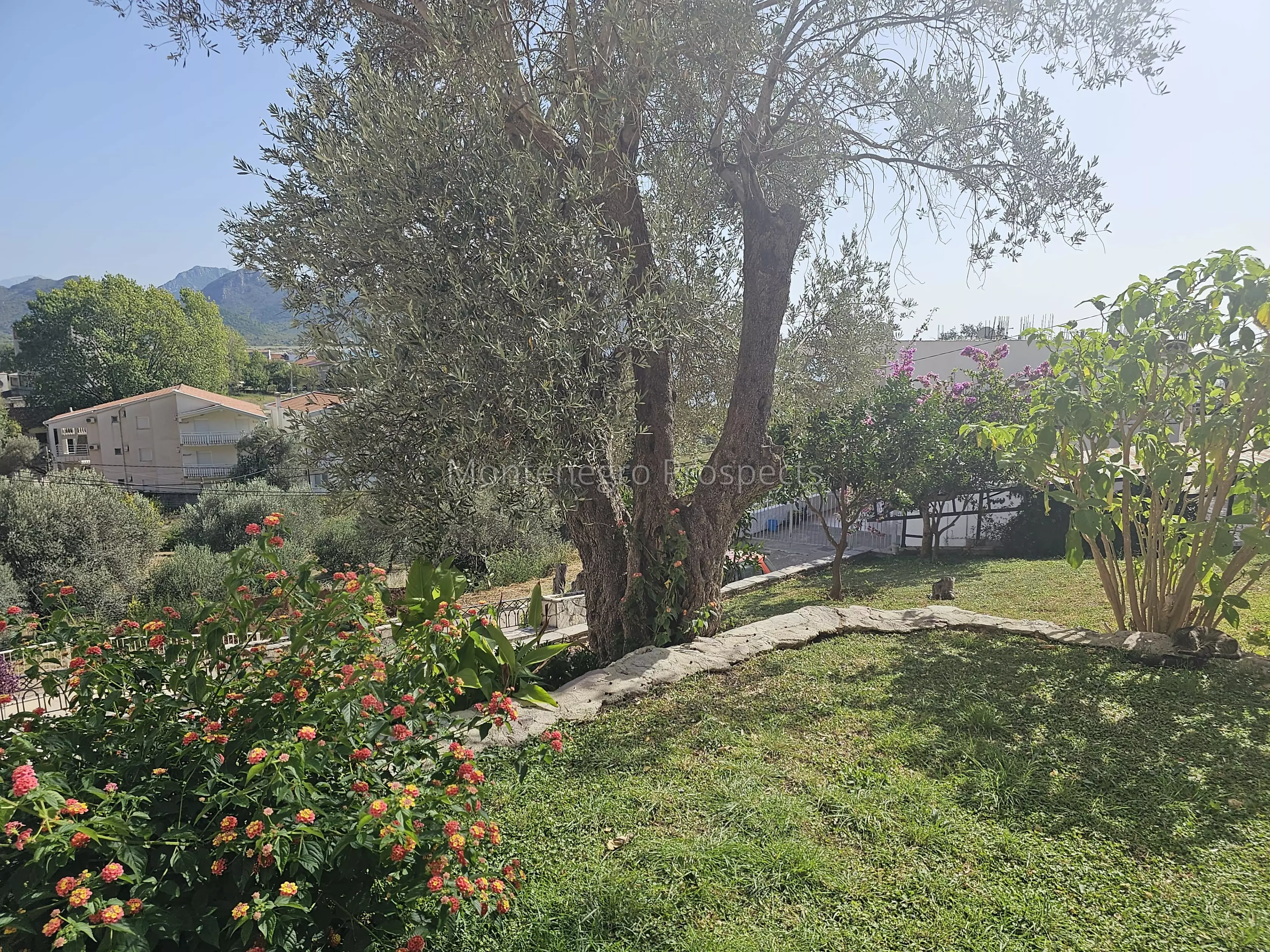 94108 buljarica 20