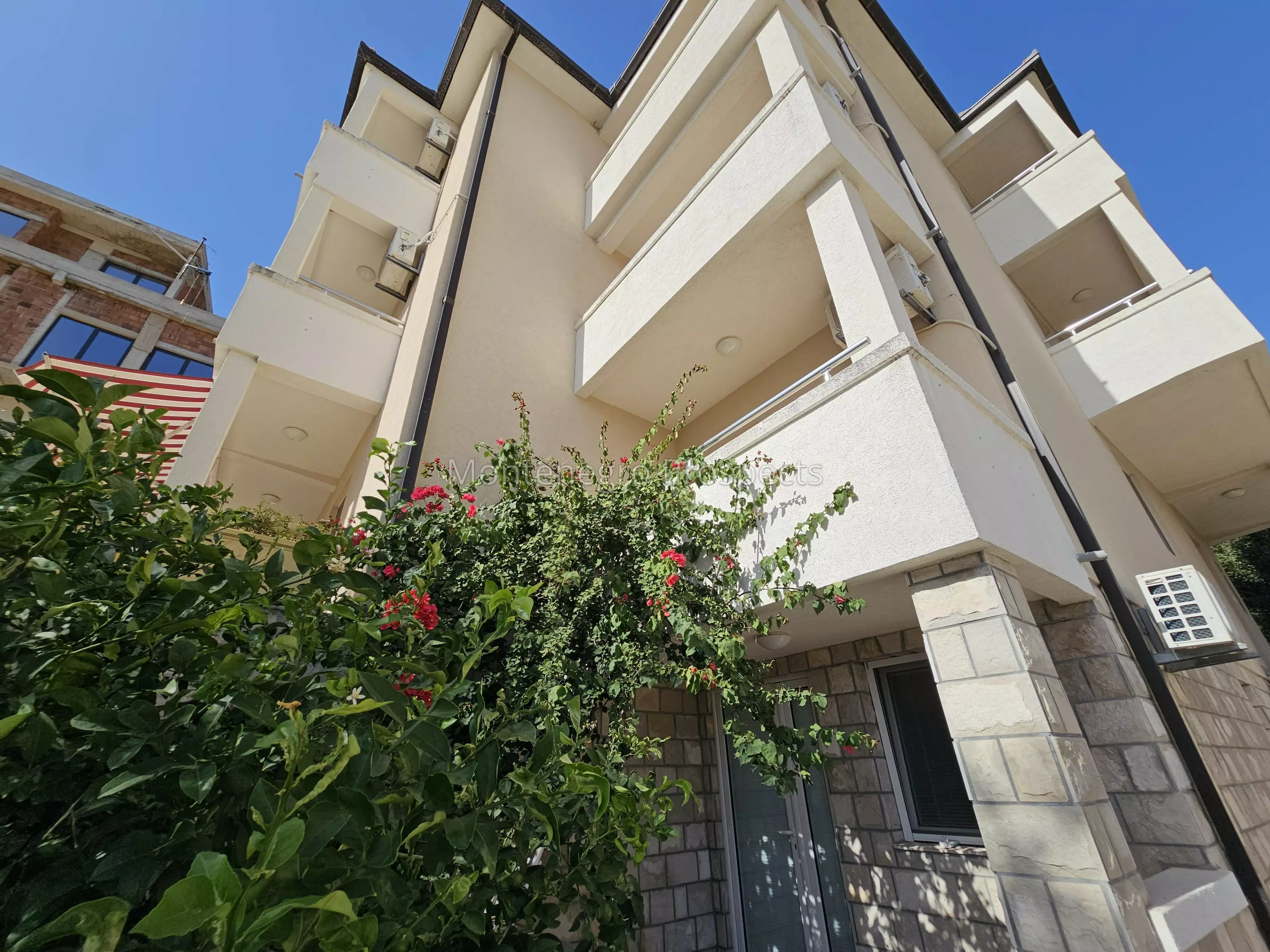 94108 buljarica 3