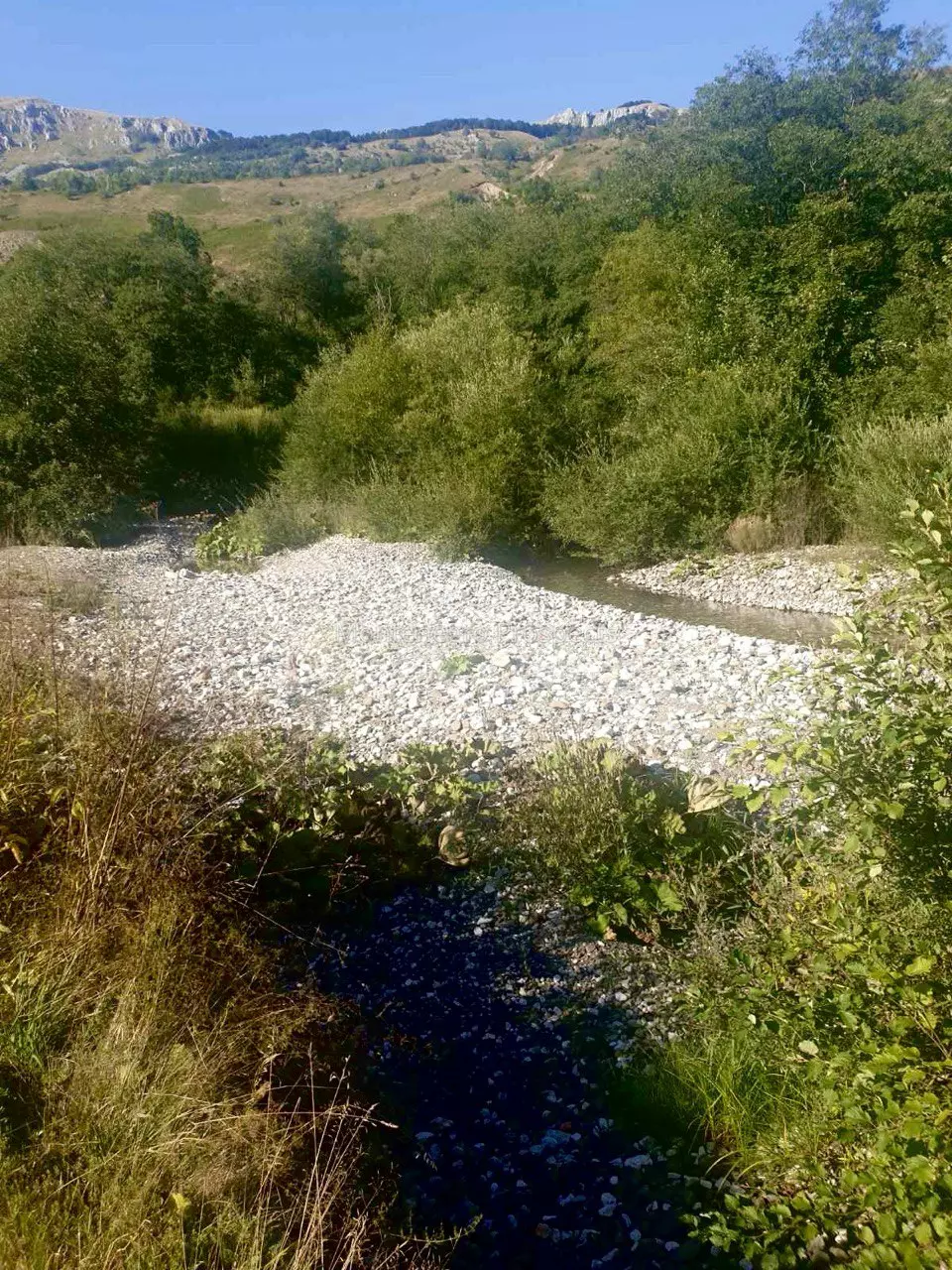 Photo 2024 04 17 12 53 29