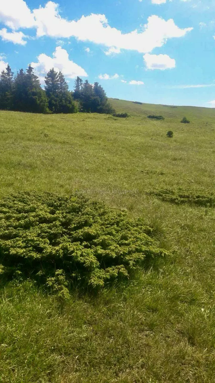 Photo 2024 04 17 13 03 09