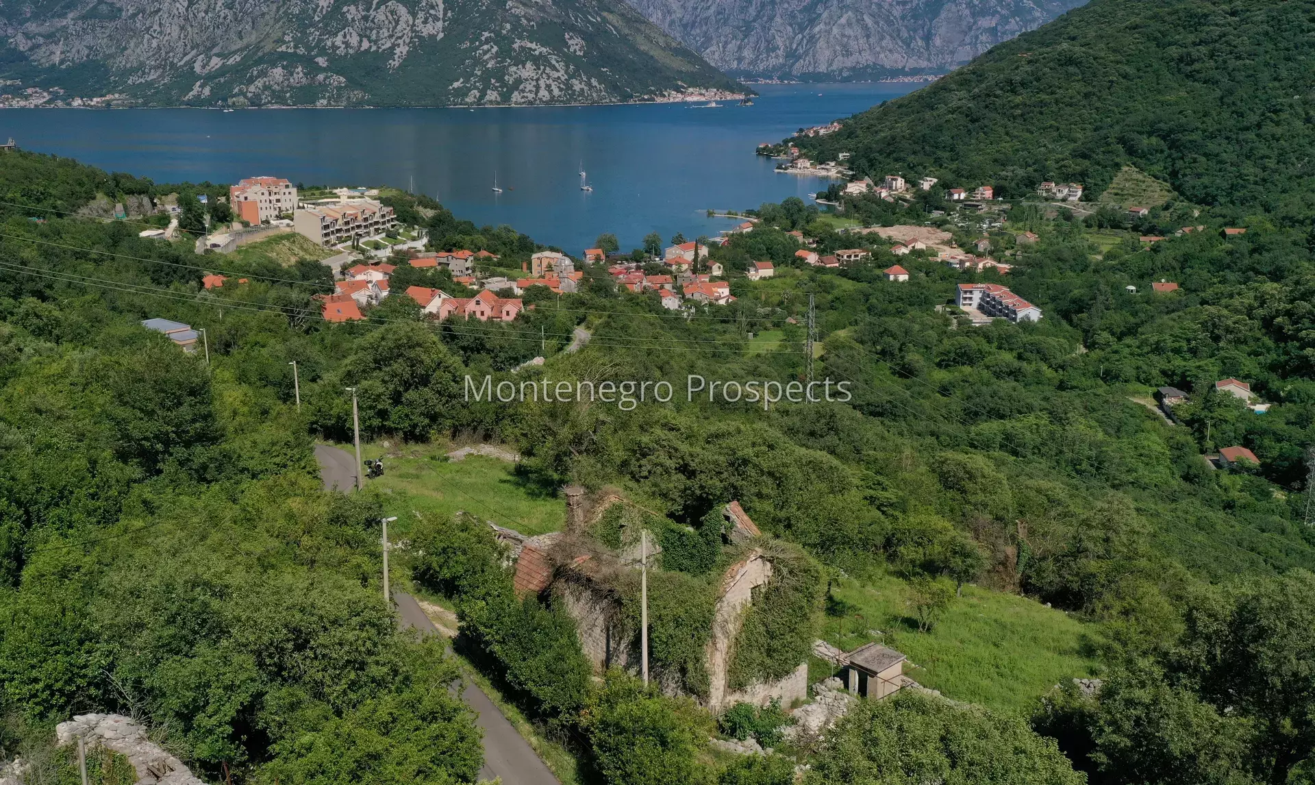 14148 morinj project 6.jpg