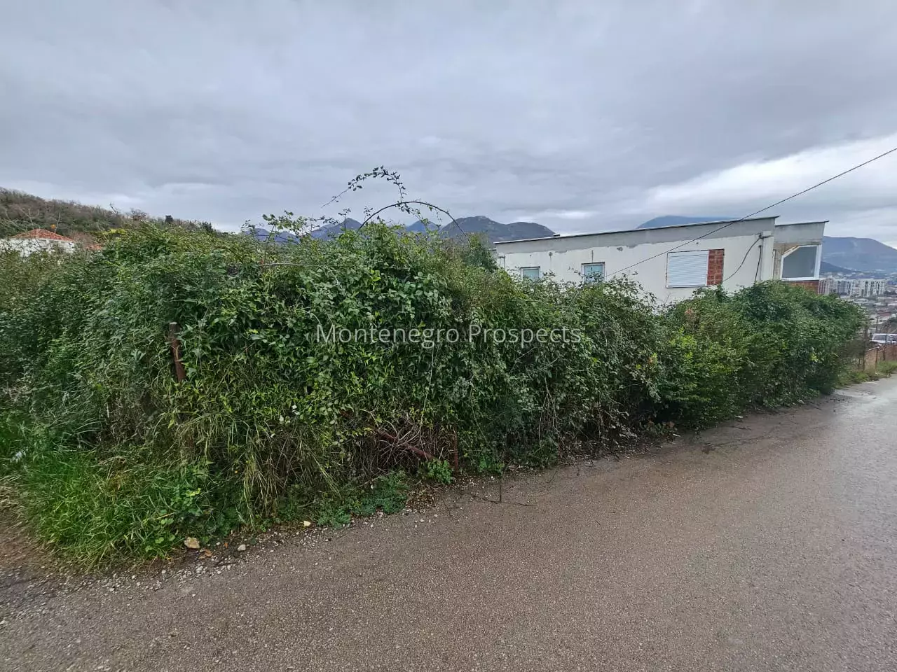 94236 plac susanj 4.jpeg