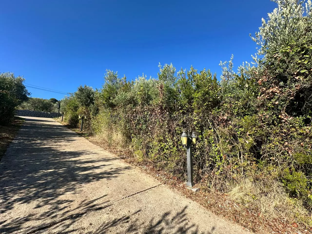 14174 plot in krasici with sea views 5