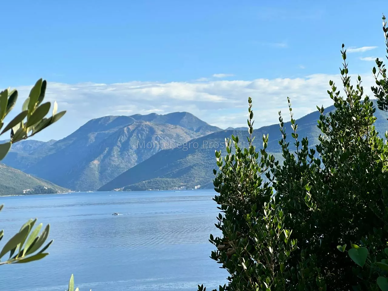 14174 plot in krasici with sea views 8