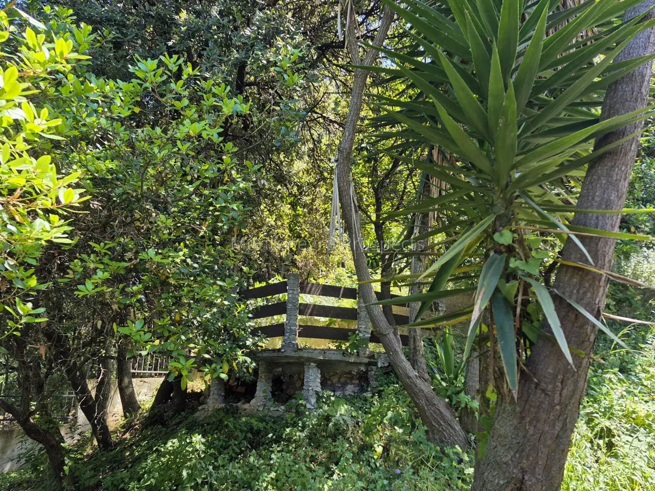 J10235 kuca na prodaju 15