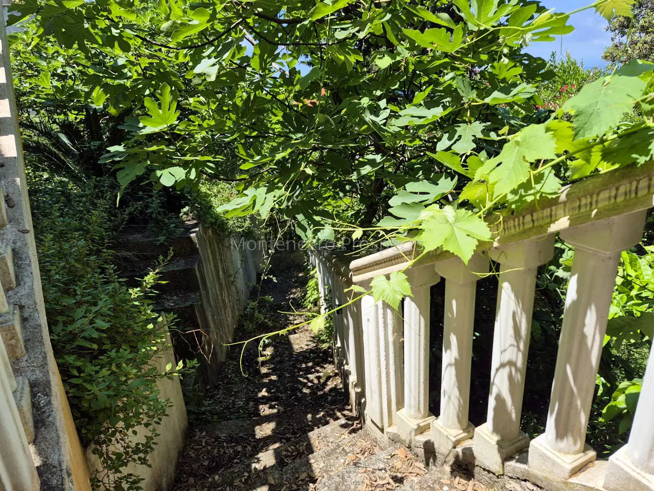 J10235 kuca na prodaju 7