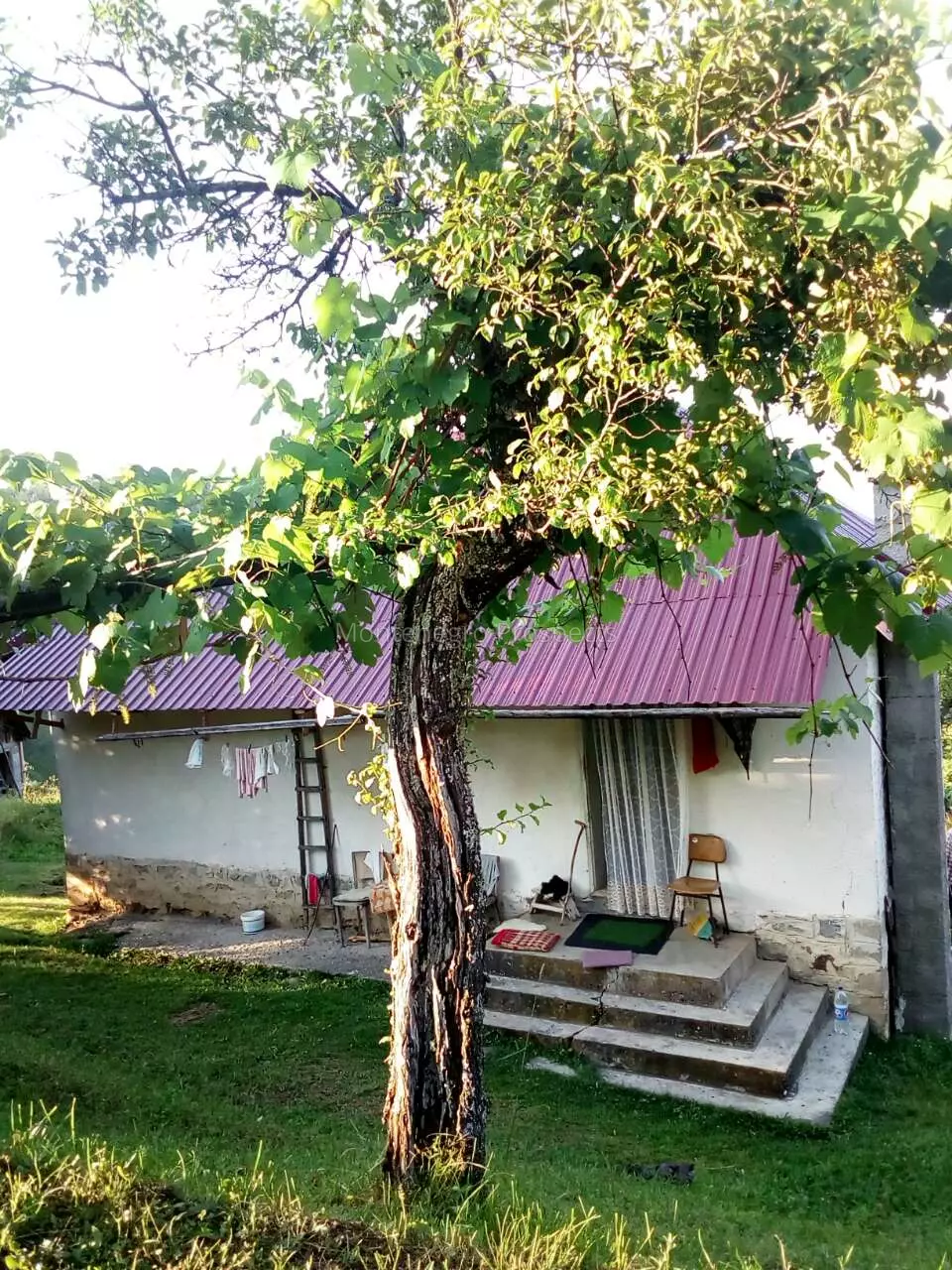 S16106 berane imanje 12