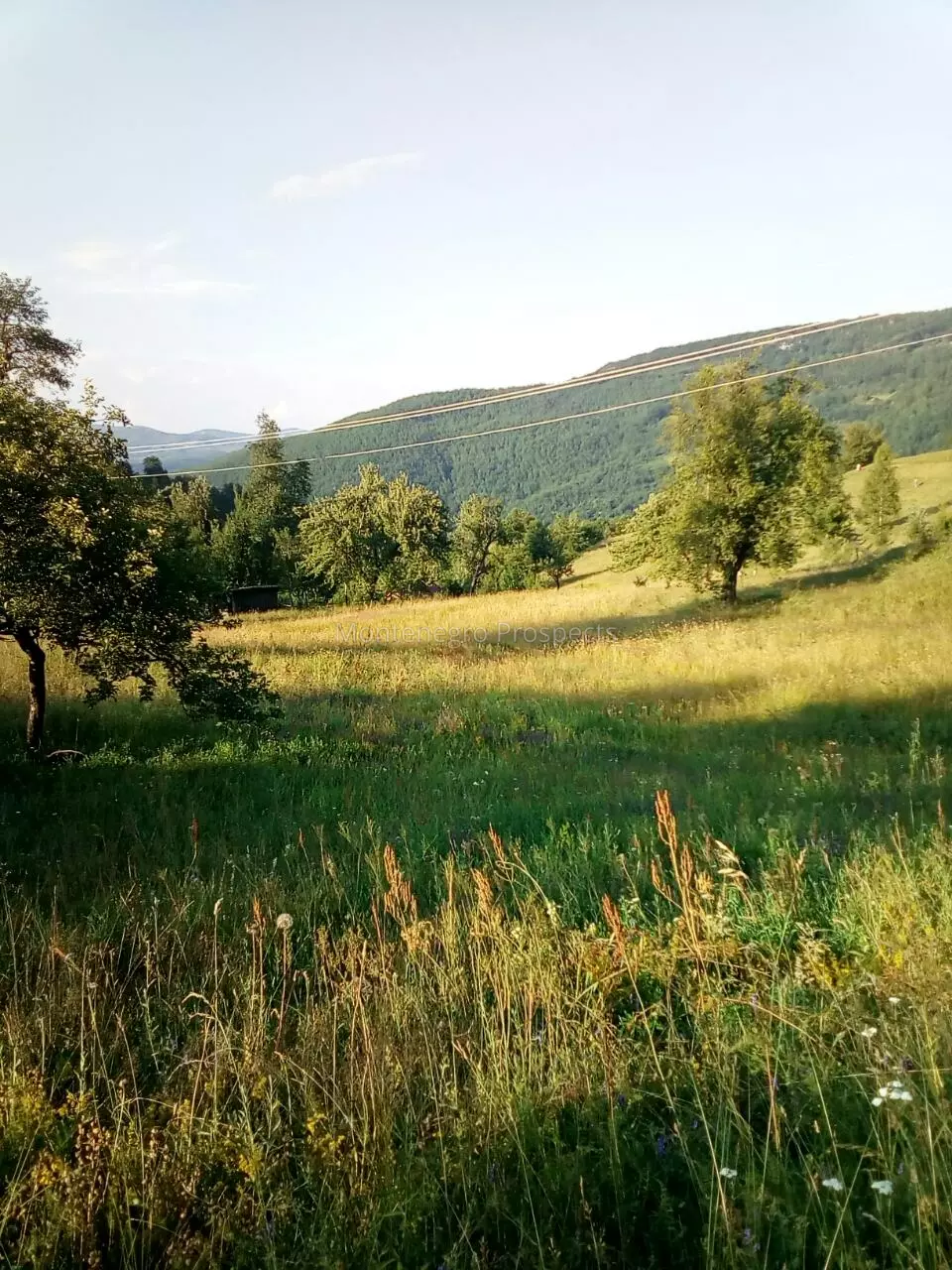 S16106 berane imanje 15