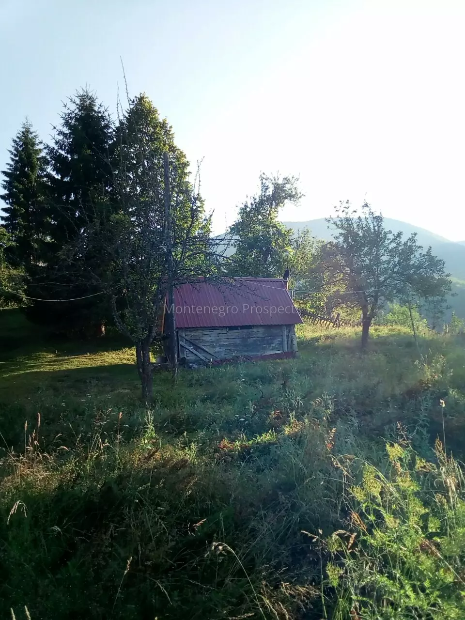 S16106 berane imanje 16