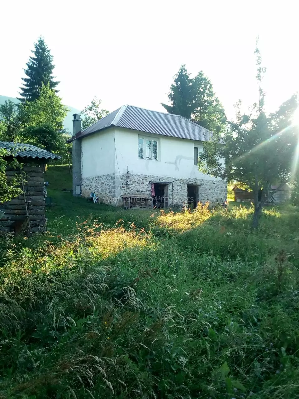 S16106 berane imanje 6