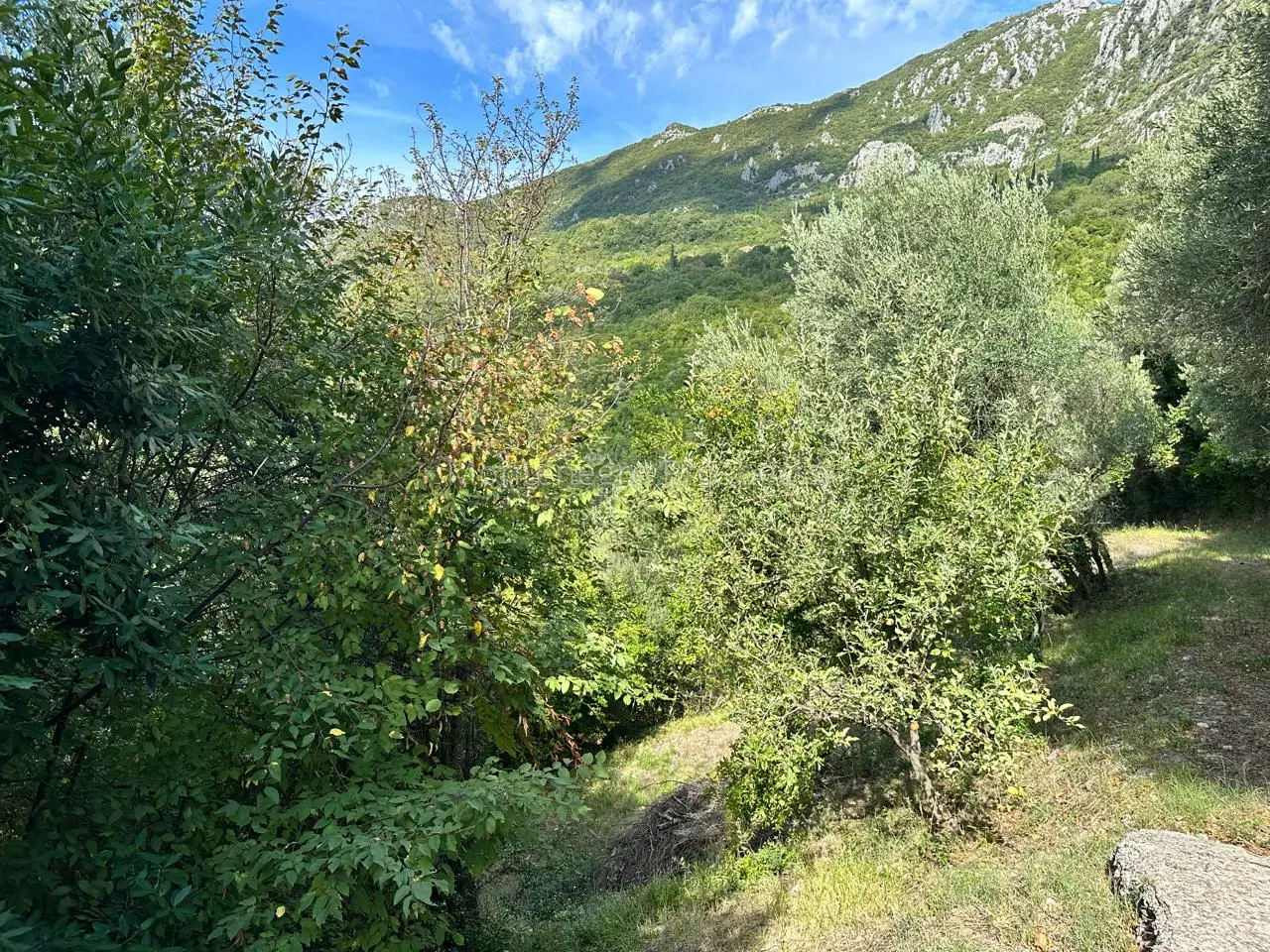 14173 plot in herceg novi 23