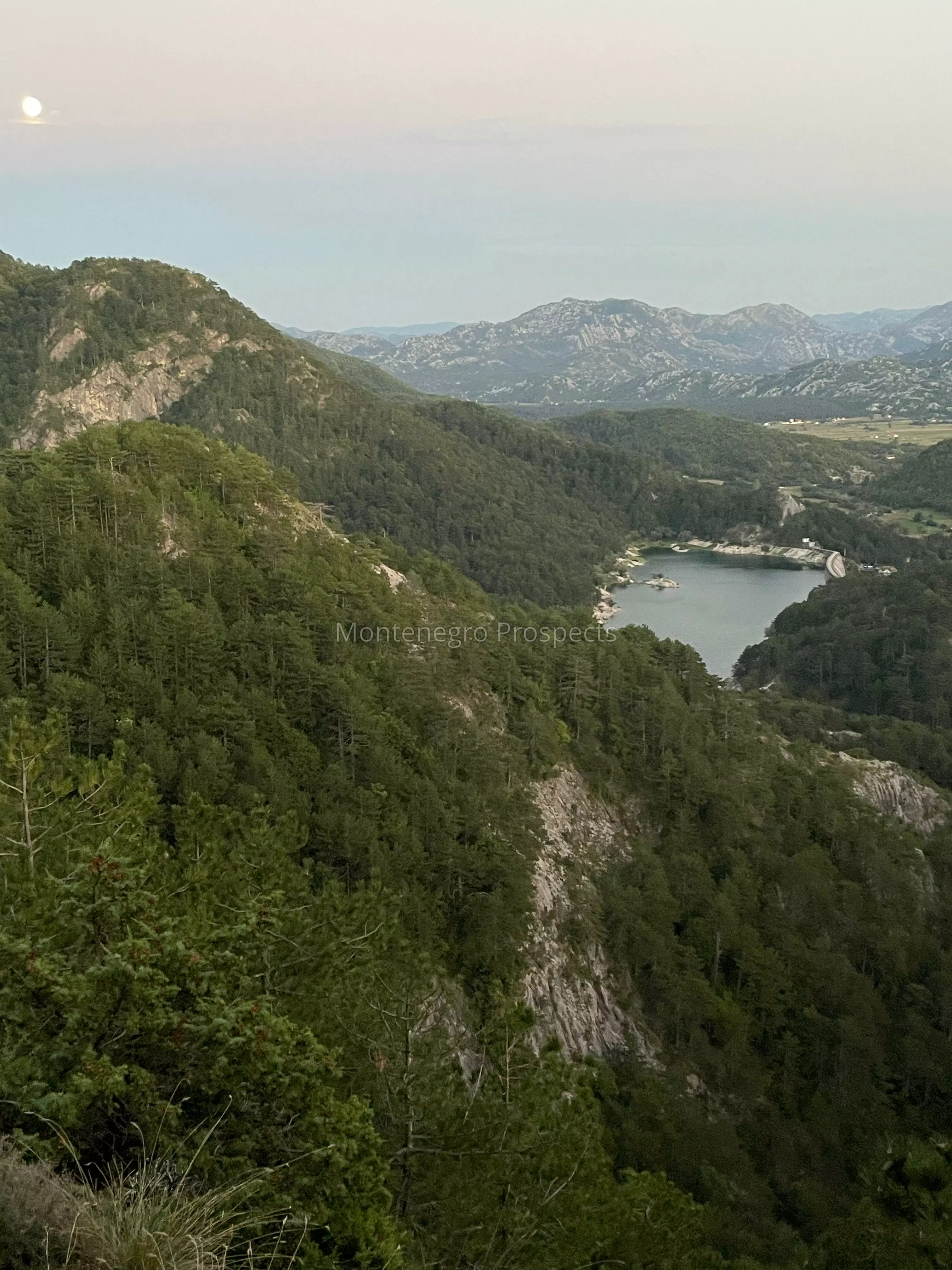 10689 2
