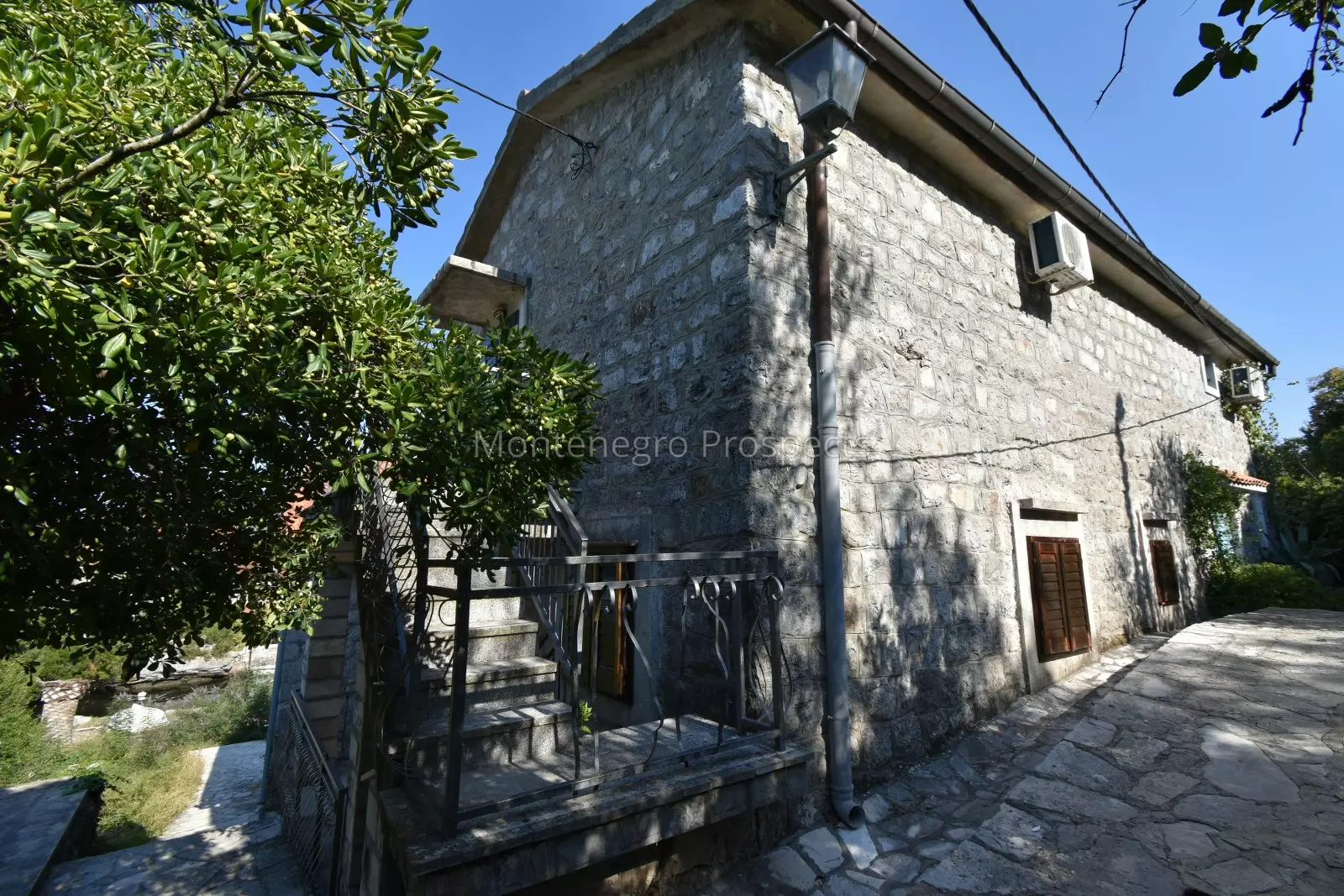 Kot 0014 1600x1067
