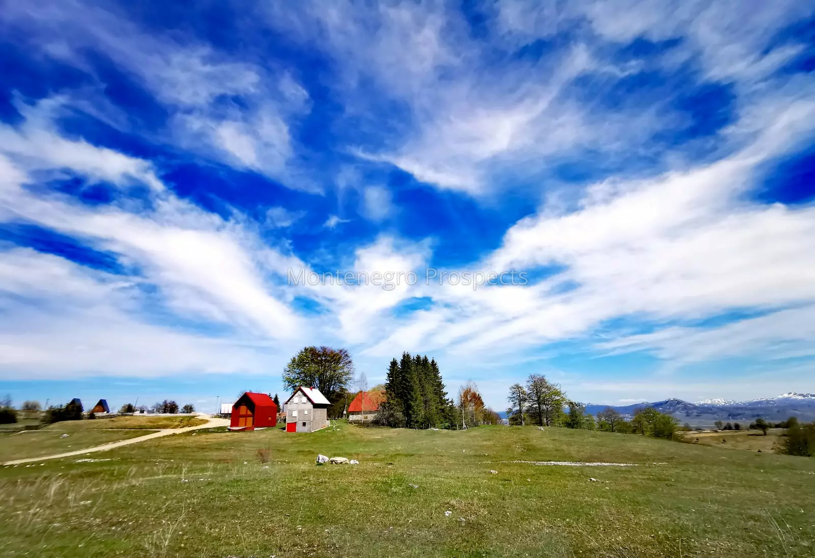 S16116 2