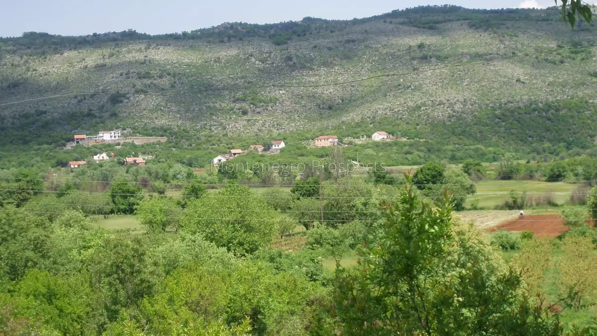 Bari6