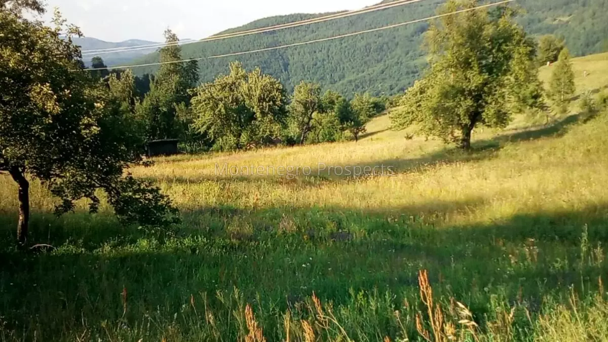 S16106 berane imanje 15