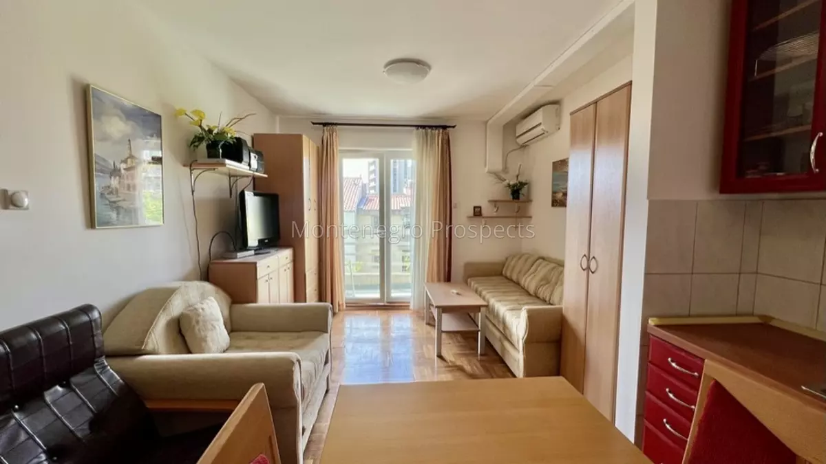 12752 petrovac studio 2 1080x800