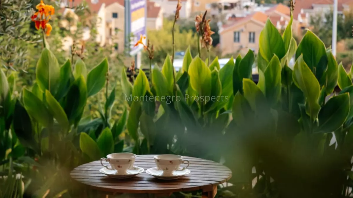 14193 apartment in kumbor 2