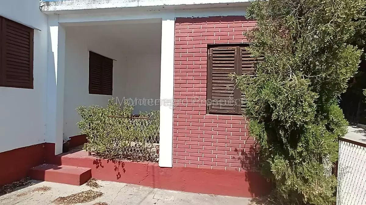 94347 7.jpg