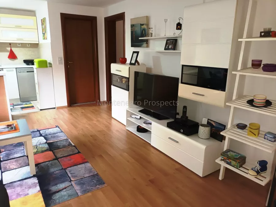 Spacious two bedroom apartment prcanj 13539 7