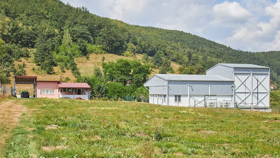 20240809 mojkovac imanje malina 23