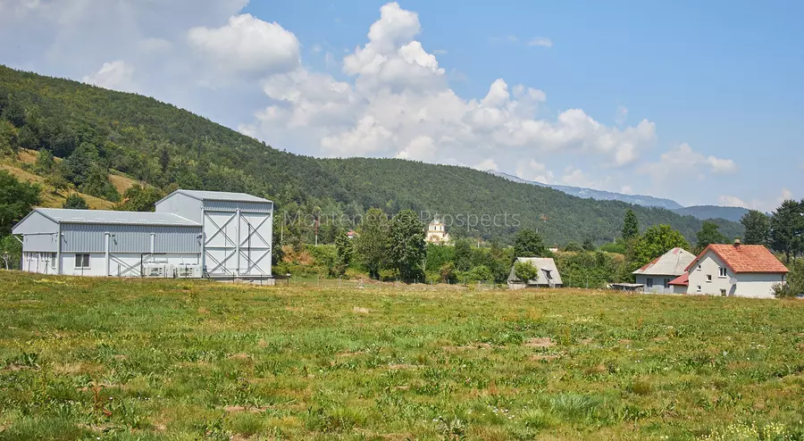20240809 mojkovac imanje malina 26