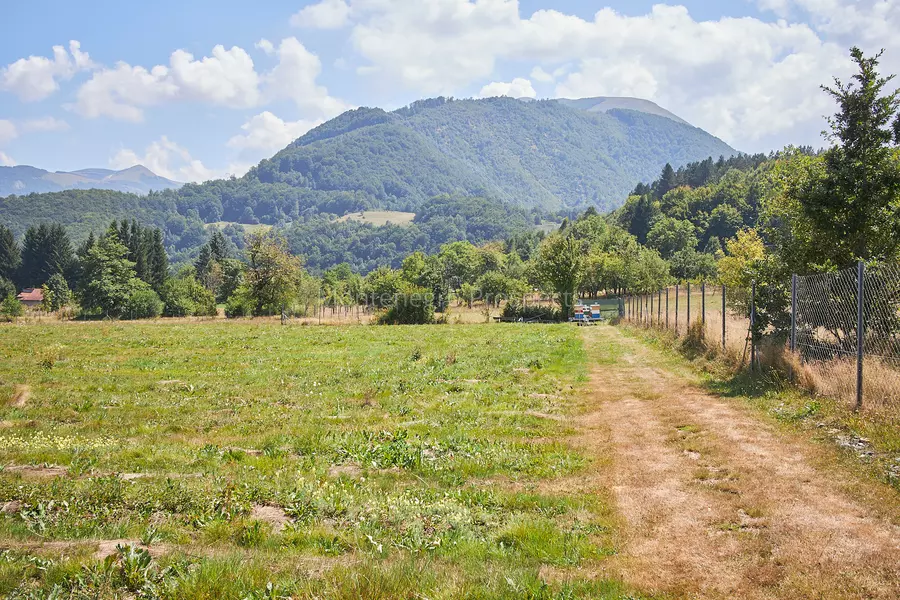 20240809 mojkovac imanje malina 27