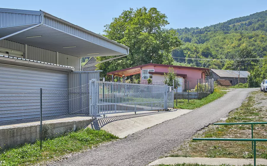 20240809 mojkovac imanje malina 31