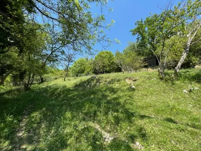 14072 risan plot with perfect views 1