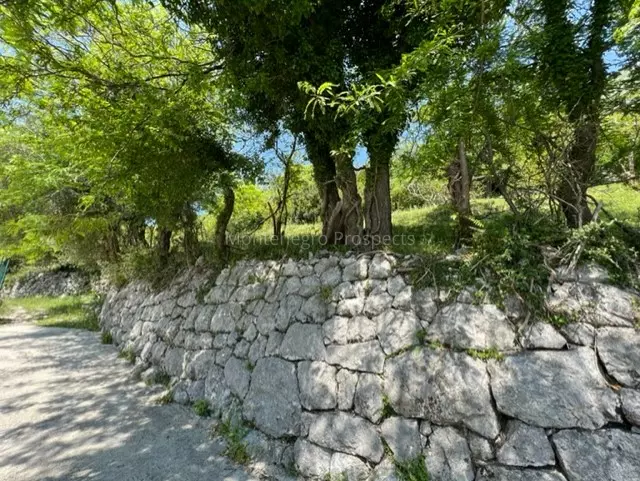 14072 risan plot with perfect views 13