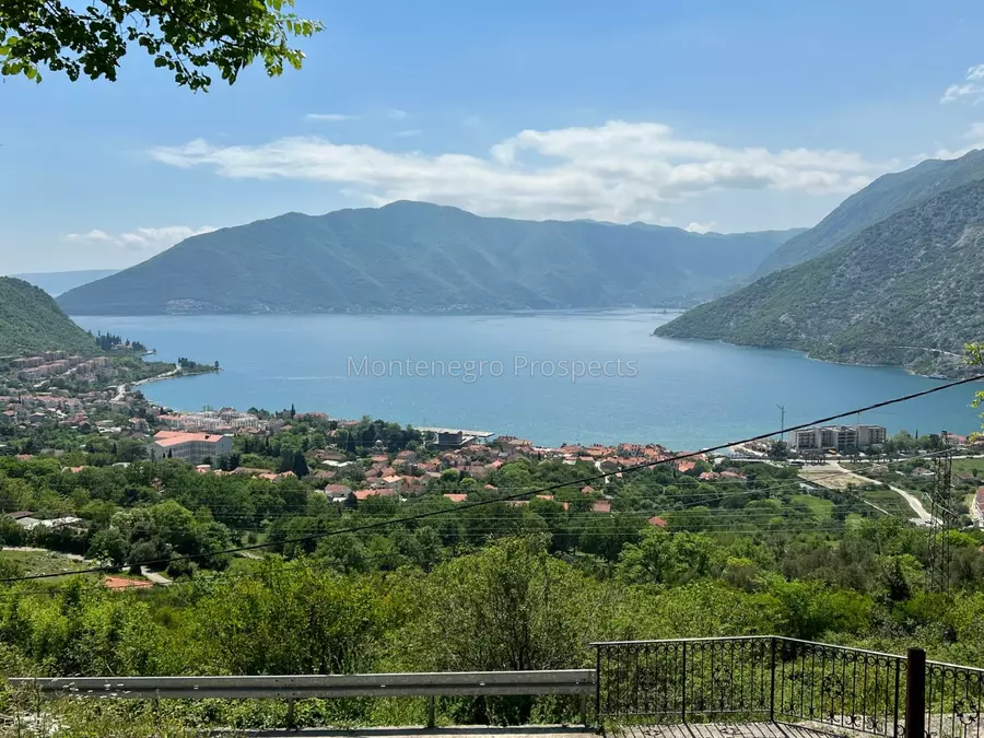 14072 risan plot with perfect views 2