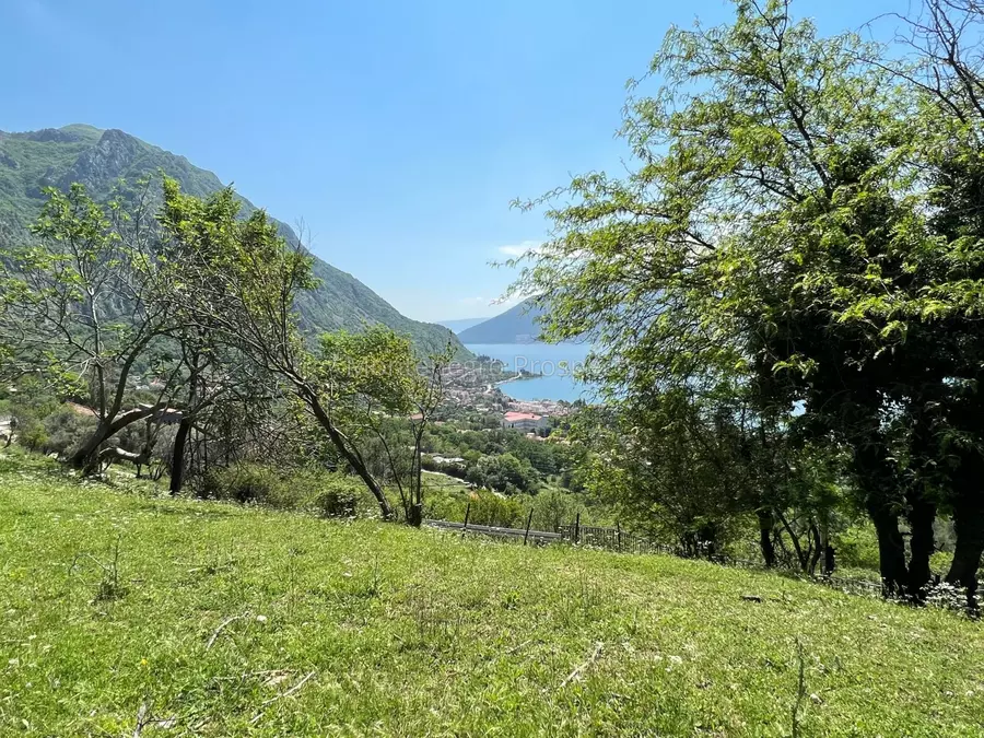 14072 risan plot with perfect views 5