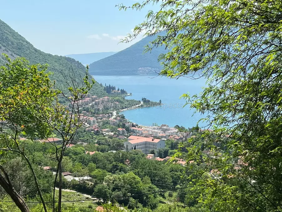 14072 risan plot with perfect views 6