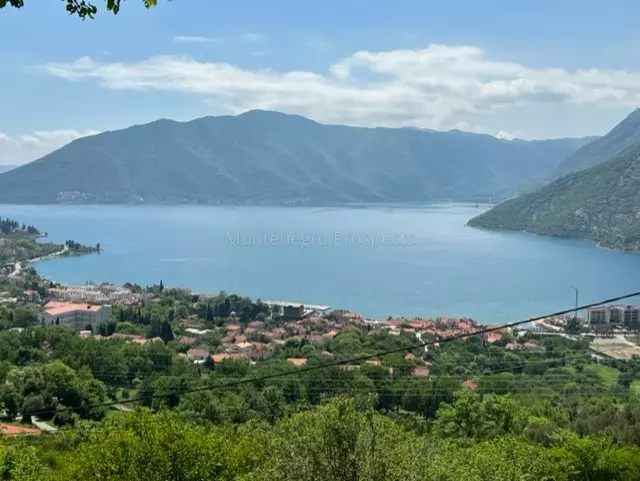 14072 risan plot with perfect views 7