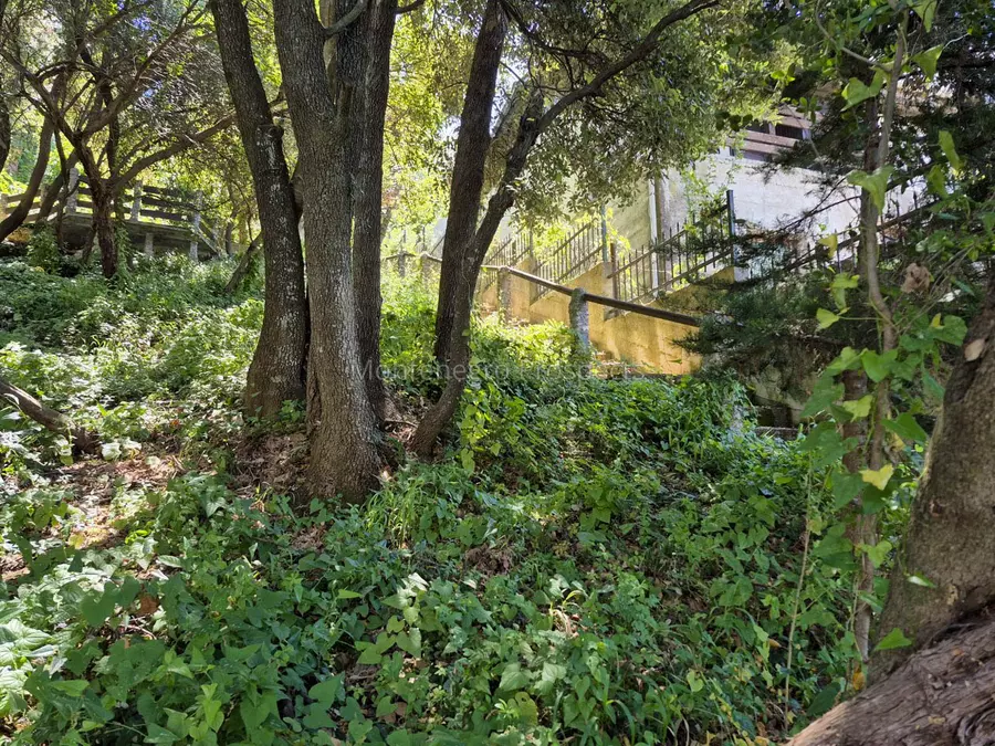 J10235 kuca na prodaju 9