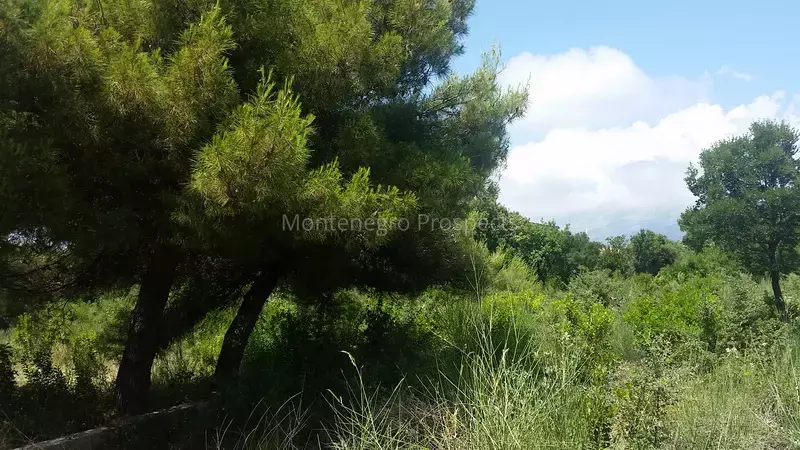 20150616 135805 novyy razmer.jpg