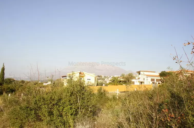 Dsc05015 novyy razmer.jpg