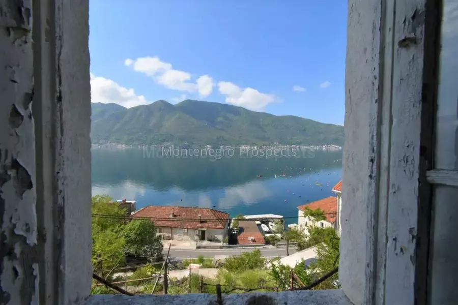 Kot 0323 1200x800.jpg