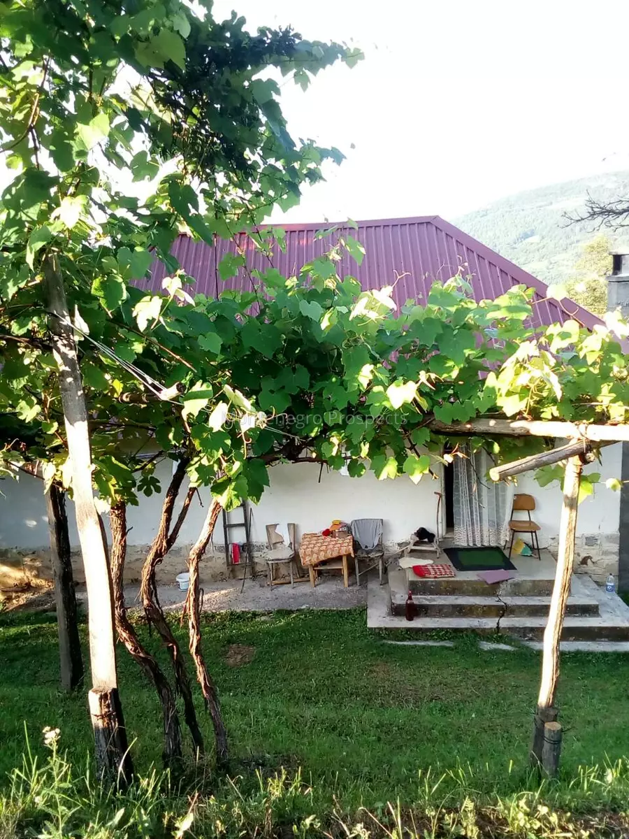 S16106 berane imanje 13