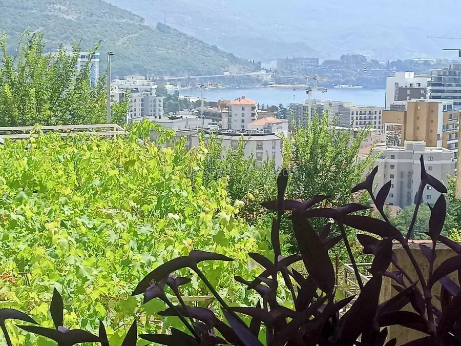 12747 babin do 5 1066x800