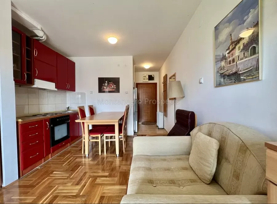 12752 petrovac studio 5 1085x800