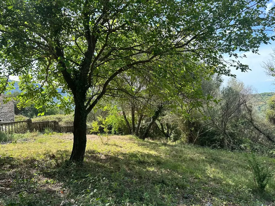 14173 plot in herceg novi 30