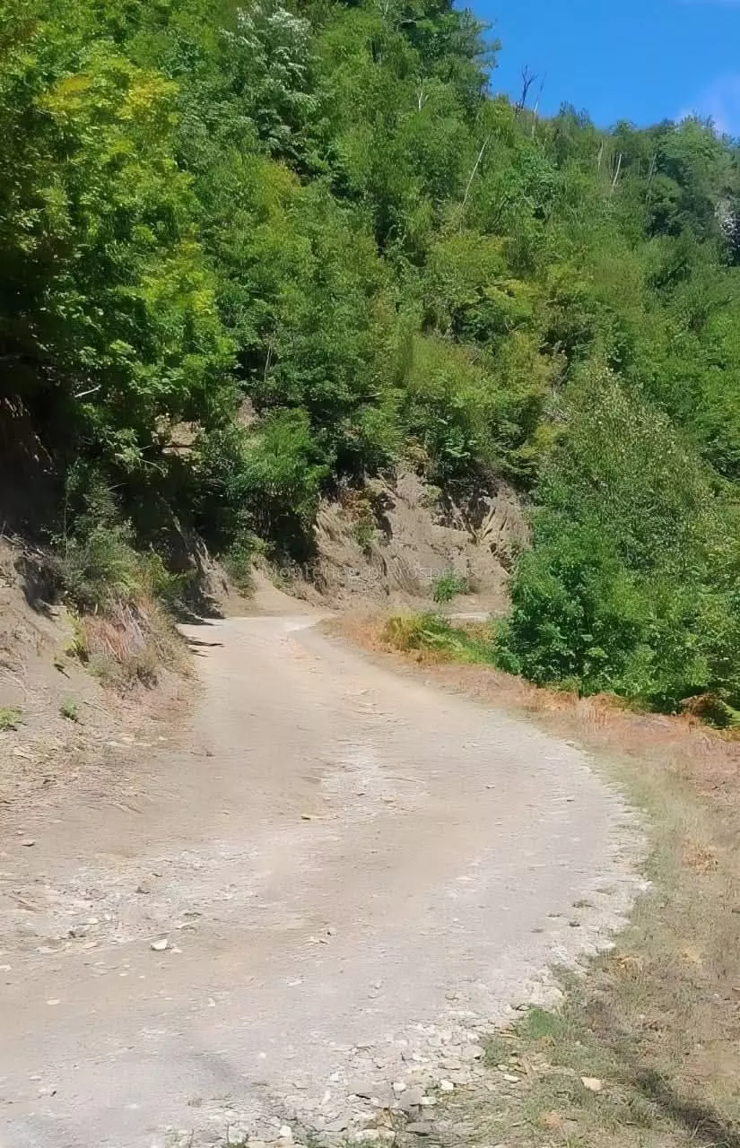 S16119 3